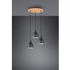 Trio-Leuchten Henley Hanglamp Zwart, 3-lichts