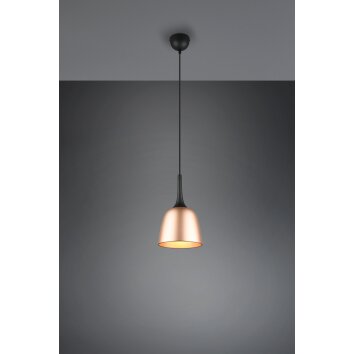 Trio-Leuchten Chiron Hanglamp Messing, 1-licht