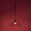 Leuchten-Direkt DAVID Hanglamp LED Zwart, 1-licht, Afstandsbediening, Kleurwisselaar