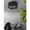 Eglo-Leuchten CAMINALES-Z Plafondlamp LED Zwart, 4-lichts