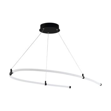 Eglo-Leuchten ALAMEDILLA Hanglamp LED Zwart, 1-licht