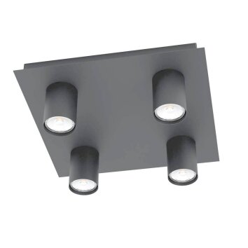 Eglo-Leuchten VALCASOTTO Plafondlamp LED Zwart, 4-lichts
