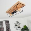 Hodne Plafondlamp Natuurlijke kleuren, Zwart, 2-lichts