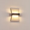 Randsfjord Buiten muurverlichting LED Antraciet, Wit, 1-licht