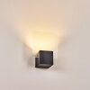 Aasbo Buiten muurverlichting LED Zwart, 1-licht