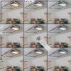 Loftheim Plafondlamp LED Chroom, Zwart, Wit, 1-licht, Afstandsbediening