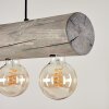 Canedo Hanglamp Grijs, Zwart, 4-lichts