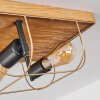Hodne Plafondlamp Natuurlijke kleuren, Zwart, 2-lichts