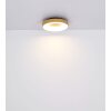Globo JOLLI Plafondlamp LED houtlook, 1-licht, Afstandsbediening