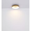 Globo JOLLI Plafondlamp LED houtlook, 1-licht, Afstandsbediening
