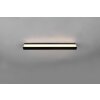 Trio-Leuchten Rocco Muurlamp LED Zwart, 1-licht