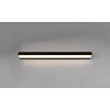 Trio-Leuchten Rocco Muurlamp LED Zwart, 1-licht