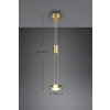 Trio-Leuchten Franklin Hanglamp LED Messing, 1-licht