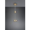 Trio-Leuchten Franklin Hanglamp LED Messing, 1-licht