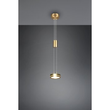 Trio-Leuchten Franklin Hanglamp LED Messing, 1-licht