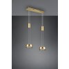 Trio-Leuchten Franklin Hanglamp LED Messing, 2-lichts