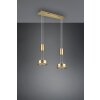 Trio-Leuchten Franklin Hanglamp LED Messing, 2-lichts