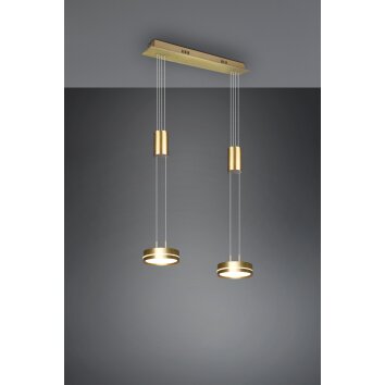 Trio-Leuchten Franklin Hanglamp LED Messing, 2-lichts