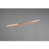 Trio-Leuchten Deacon Hanglamp LED Bruin, 1-licht