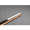 Trio-Leuchten Deacon Hanglamp LED, 1-licht