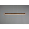 Trio-Leuchten Deacon Hanglamp LED, 1-licht