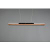 Trio-Leuchten Deacon Hanglamp LED, 1-licht