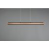 Trio-Leuchten Deacon Hanglamp LED, 1-licht