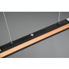 Trio-Leuchten Deacon Hanglamp LED, 1-licht