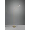 Trio-Leuchten Monza Staande lamp LED Messing, 1-licht