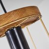 Hodne Hanglamp Natuurlijke kleuren, Zwart, 4-lichts