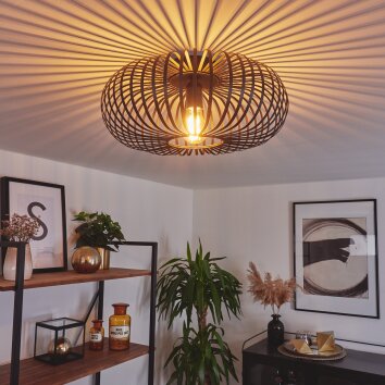 Oravi Plafondlamp Zwart, 1-licht