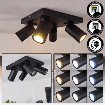 Hakamken Plafondlamp LED Zwart, 4-lichts