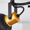 Borik Plafondlamp Zwart-Goud, 3-lichts