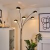 Siamado Staande lamp Zwart, 5-lichts