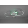 Reality Arribo Plafondlamp LED Titan, 3-lichts, Afstandsbediening, Kleurwisselaar