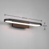 Trio-Leuchten Gianni Muurlamp LED Zwart, 1-licht