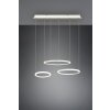 Trio-Leuchten Morrison Hanglamp LED Wit, 1-licht