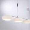 Paul-Neuhaus Q-ETIENNE Hanglamp LED Staal geborsteld, 4-lichts, Afstandsbediening