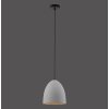 Paul-Neuhaus ETON Hanglamp Zwart, 1-licht