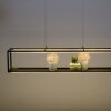 Paul-Neuhaus CONTURA Hanglamp LED Zwart, 4-lichts