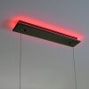 Paul-Neuhaus Q-ARIAN Hanglamp LED Antraciet, 4-lichts, Afstandsbediening