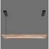 Paul-Neuhaus PALMA Hanglamp LED Natuurlijke kleuren, Zwart, 1-licht, Afstandsbediening