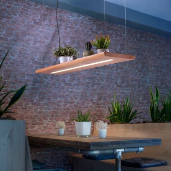 Paul-Neuhaus PALMA Hanglamp LED Natuurlijke kleuren, Zwart, 1-licht, Afstandsbediening