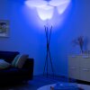 Paul-Neuhaus Q-PETER Staande lamp LED Antraciet, 3-lichts, Afstandsbediening
