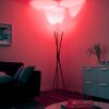 Paul-Neuhaus Q-PETER Staande lamp LED Antraciet, 3-lichts, Afstandsbediening