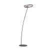 Paul-Neuhaus TITUS Staande lamp Antraciet, 1-licht