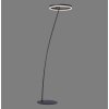 Paul-Neuhaus TITUS Staande lamp Antraciet, 1-licht