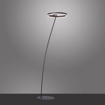 Paul-Neuhaus TITUS Staande lamp Antraciet, 1-licht