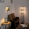 Paul-Neuhaus CONTURA Staande lamp LED Zwart, 4-lichts