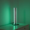 Paul-Neuhaus Q-ADRIANA Tafellamp LED Aluminium, 2-lichts, Afstandsbediening